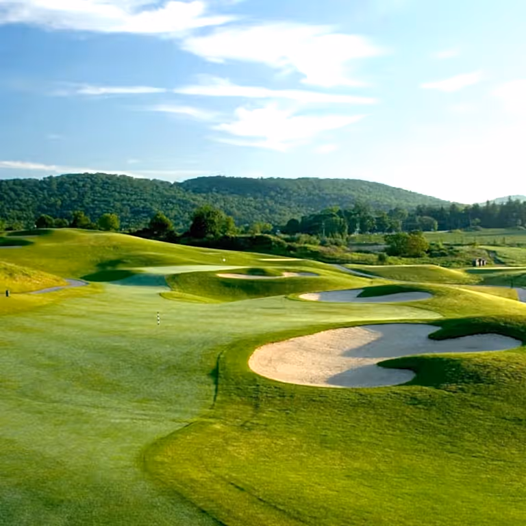 Traps at Wild Turkey Golf Club