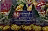 Minerals Resort &amp; Spa Sign